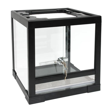 Budget Terrarium Small - Amazing Amazon
